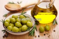 Green chalkidiki olive