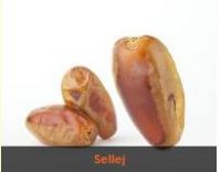 Sellej dates