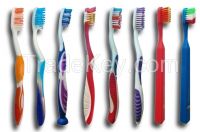 Adult toothbrush