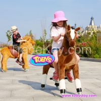 Tobys Riding Pony Riding Horse