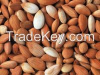 Apricot Kernels Bitter and Sweet Organic and Conventional