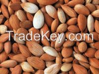 Organic Conventional Apricot Kernels