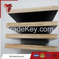 18mm Film Faced Plywood / Consturction Plywood Black Color