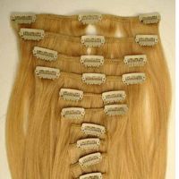Remy Human Hair Clip in Hair Extension