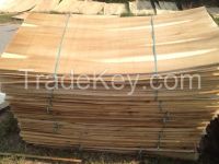 Eucalyptus core veneer