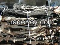 cow Skin, Salted Cattle Skin,Goat Skin /Wet Salted Cow/Horse Hides