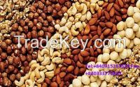 Almond Nuts , Pistachio Nuts, Cashew Nuts, Pecan Nuts, Macadamia nuts, Walnuts origin of America