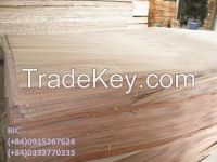 Vietnam hardwood boards, logs, sticks, veneer, plywood