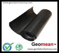 LDPE Geomembrane