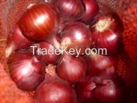 Dark Red onions