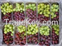 Grapes