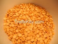 High Quality Yellow Lentils