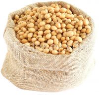 Yellow Soybean/Non GMO Soybean