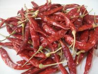 Dry Red Chilli