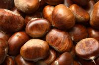 Organic Raw Fresh Chestnut