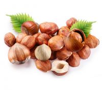 Raw Hazelnuts Kernels in Shell, Organic Hazelnuts, Blanched Hazelnuts.