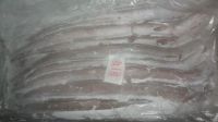 Frozen whole ribbon fish