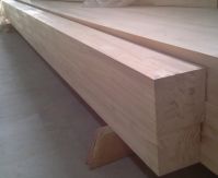 Poplar wood timber for sale