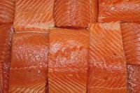 FROZEN SALMON, ATLANTIC (Salmo salar) FILLET SEA FOOD FISH