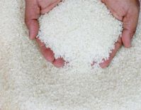 Hot Deal of Long Grain Rice