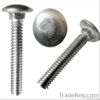 carriage bolt