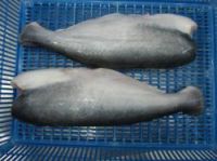 Frozen Pangasius HGT