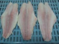 Frozen Pangasius steak