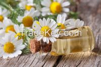 Chamomile essential oil