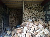 Firewood