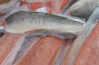 Frozen Atlantic Salmon Fillet  With Skin & Without Skin