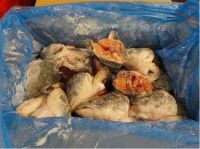 Frozen Atlantic Salmon Fillet Heads V-Cuts , IQF ( Aproved to Russia )