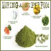 moringa oleifera 