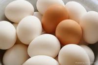 Farm Fresh Chicken Table eggs, Brown Shell chicken eggs, White shell chicken