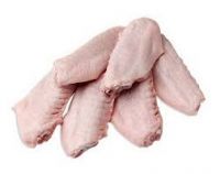 Frozen Turkey wings tips