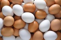 Fresh White & Brown Chicken Eggs