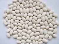 Red / Black / White Kidney bean 2015 crop HPS size:200-220pcs/100g