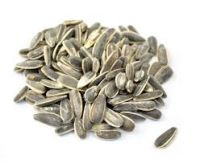 Sunflower seeds for Human consumption