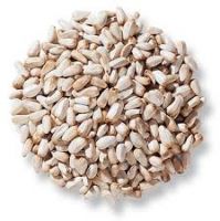 new stock Safflower seeds