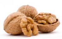 Hot selling walnut kernel moldova with low price walnut