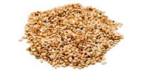 Whitish Sesame Seed (Humera Type)