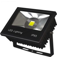 BSI- SF Flood Light