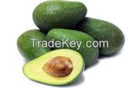 Hass Avocados for Sale