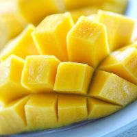 Fresh Haden Green Mango Fruits