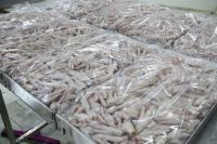 Frozen Chicken Feet & Paws