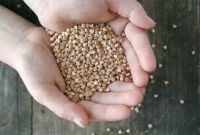 Roasted Buckwheat In Large Quantity