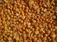 Yellow Split Pigeon Peas Germany