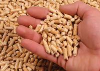 Vietnam wood pellets 3-10 cm