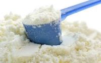 Sheep Milk Powder / Milk Cream