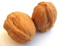 Walnuts in Shell