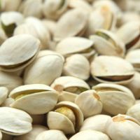 ROASTED SALTED PISTACHIO NUTS